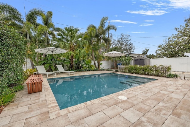 view of swimming pool with a fenced backyard, a fenced in pool, a storage shed, and a patio area