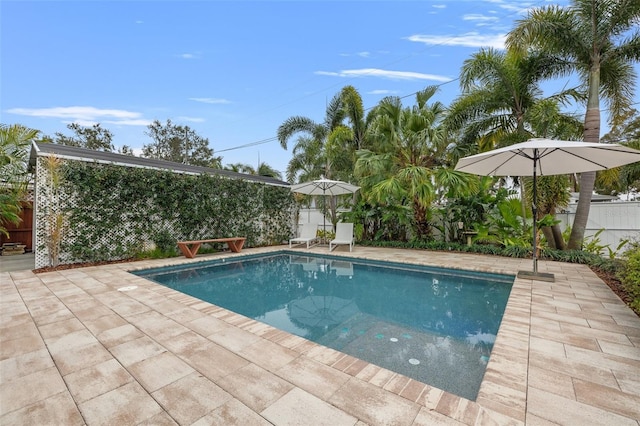 view of pool with a fenced backyard, a fenced in pool, and a patio area