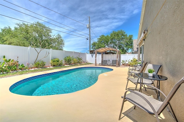 1666 Meadow Oak Ln, Tarpon Springs, FL 34689 - view of pool featuring a fenced backyard, a patio area, and a pergola