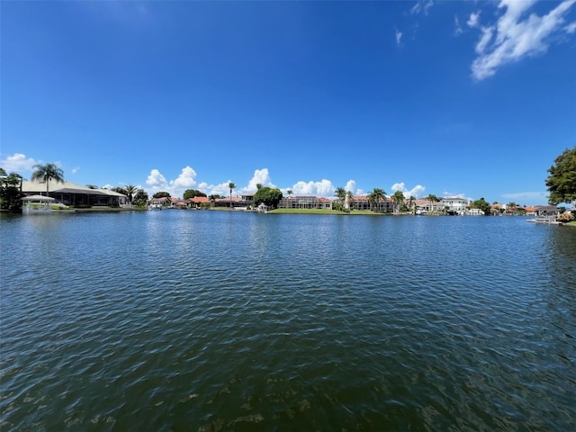 4804 Longwater Way, Tampa, FL 33615 - water view