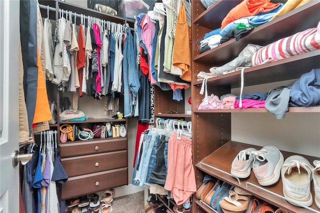 3408 W Bay Ave, Tampa, FL 33611 - spacious closet featuring carpet flooring