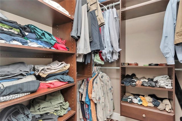 3408 W Bay Ave, Tampa, FL 33611 - view of walk in closet