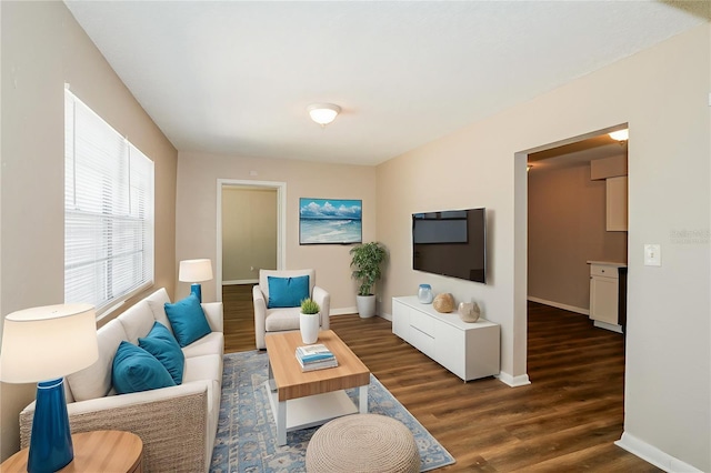 1602 E New Orleans Ave, Tampa, FL 33610 - living room featuring dark wood finished floors and baseboards