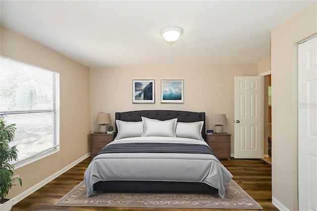 1602 E New Orleans Ave, Tampa, FL 33610 - bedroom featuring multiple windows and dark wood-type flooring