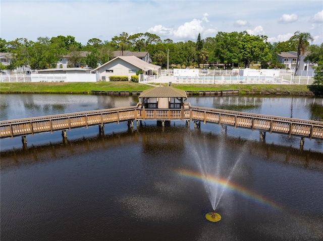 dock area with a water view