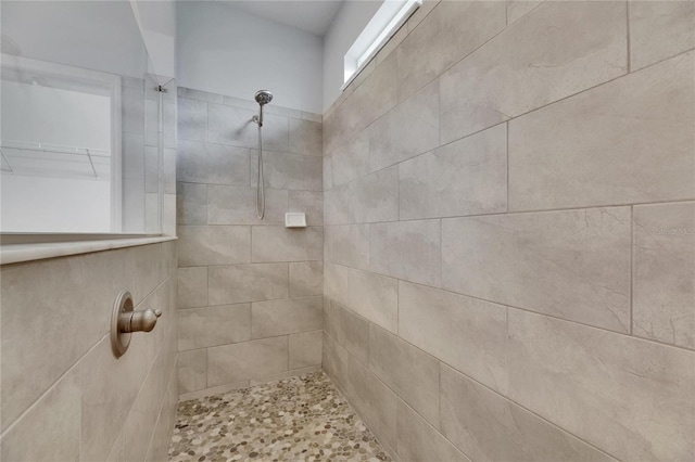 6611 Current Dr, Apollo Beach, FL 33572 - bathroom with a tile shower