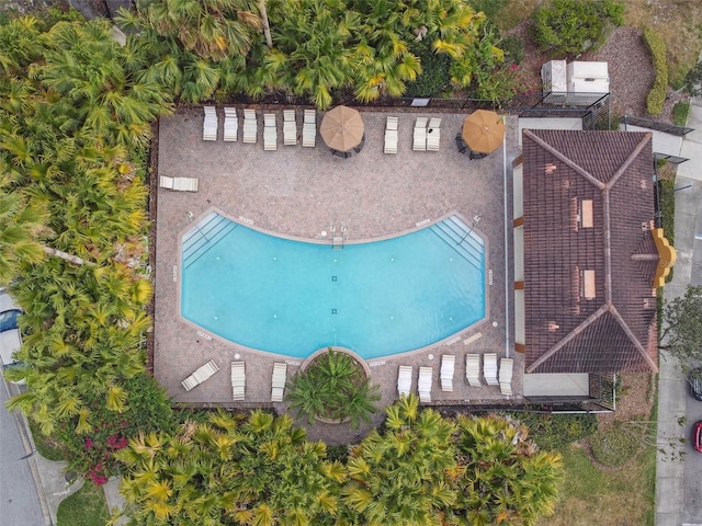 aerial view