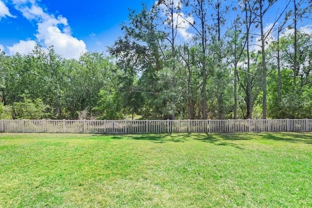 10703 Morning Dew Way, Tampa, FL 33647 - view of yard featuring a fenced backyard
