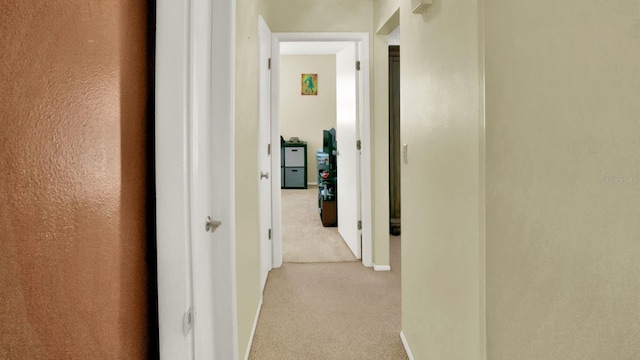 6035 19th St NE, Saint Petersburg, FL 33703 - corridor with light carpet