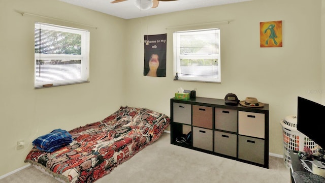 6035 19th St NE, Saint Petersburg, FL 33703 - bedroom featuring carpet flooring, multiple windows, and baseboards