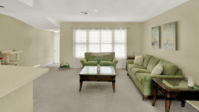 6035 19th St NE, Saint Petersburg, FL 33703 - living room with light colored carpet