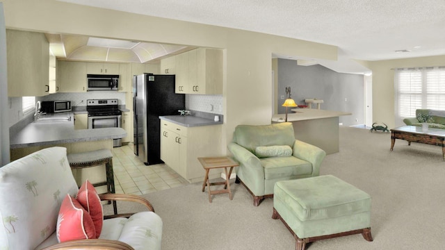 6035 19th St NE, Saint Petersburg, FL 33703 - living area with light colored carpet and a textured ceiling