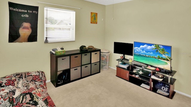 6035 19th St NE, Saint Petersburg, FL 33703 - carpeted living room with baseboards
