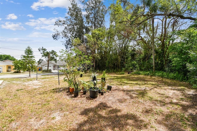 709 6th St NE, Largo, FL 33770