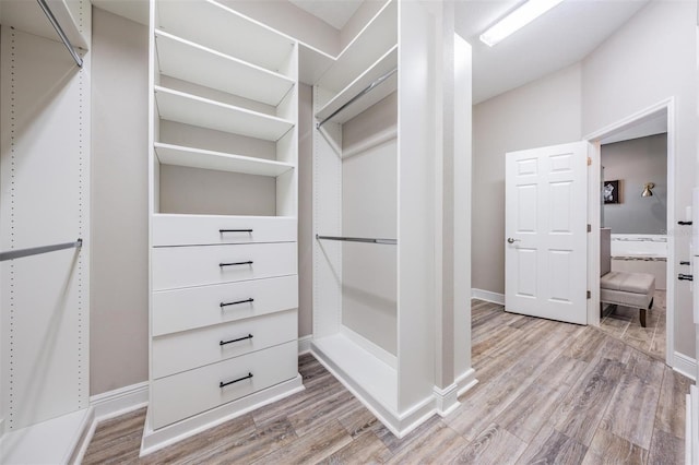 spacious closet with light wood-style flooring