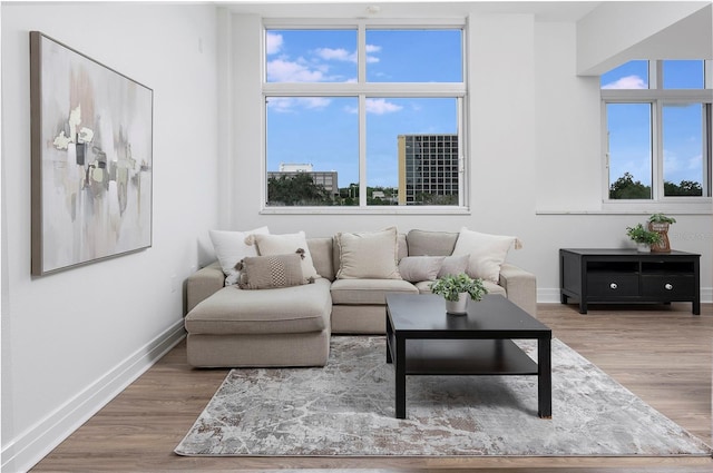 331 Cleveland St Unit 320, Clearwater, FL 33755 - living area with baseboards and wood finished floors