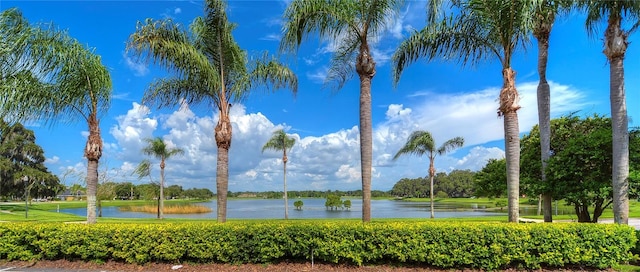 view of water feature