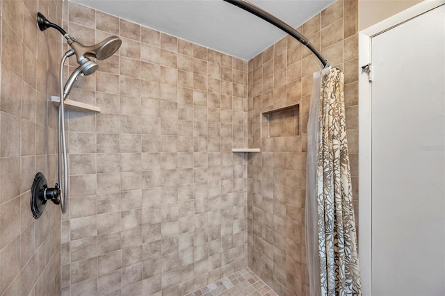 13308 Kearney Way, Tampa, FL 33626 - full bath with tiled shower