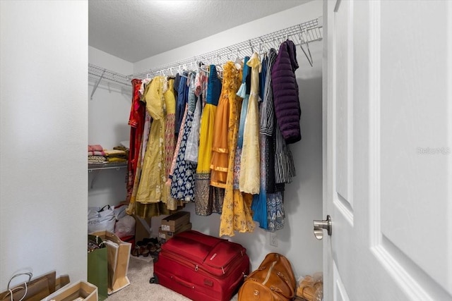 walk in closet featuring carpet