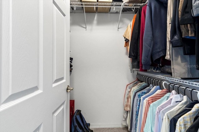 spacious closet with carpet