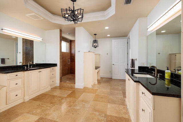 full bathroom with a tray ceiling, a sink, and visible vents