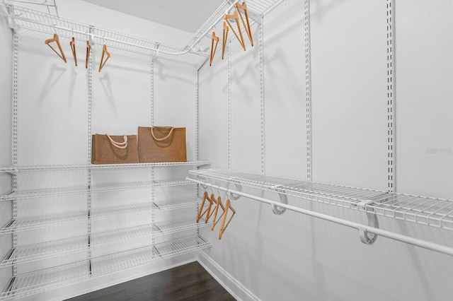 2410 W N A St Unit 2, Tampa, FL 33609 - walk in closet with dark wood-style flooring