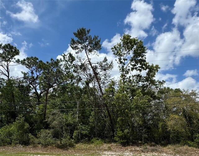 2185 Waterfall Dr, Spring Hill, FL 34608