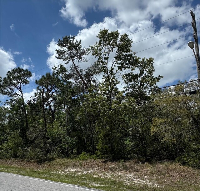 2185 Waterfall Dr, Spring Hill, FL 34608