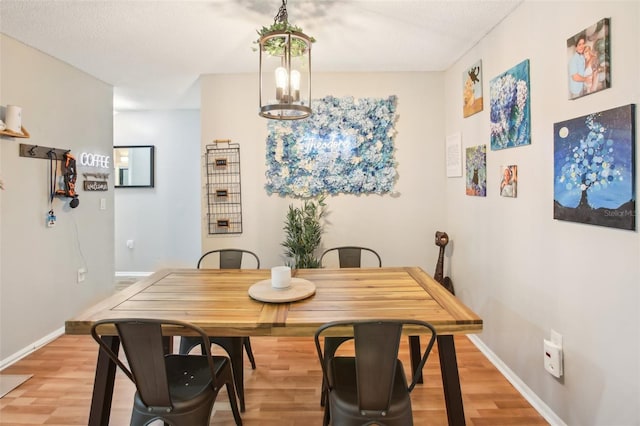 9481 Highland Oak Dr Unit 1616, Tampa, FL 33647 - dining room featuring light wood-style flooring, baseboards, a chandelier, and a textured ceiling