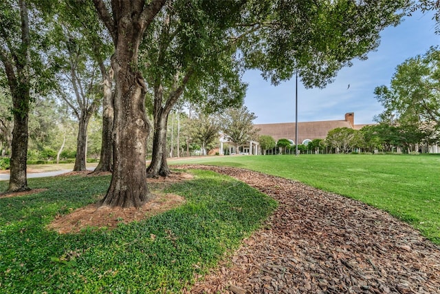 9481 Highland Oak Dr Unit 1616, Tampa, FL 33647 - view of green lawn