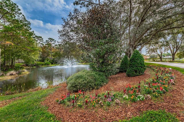 9481 Highland Oak Dr Unit 1616, Tampa, FL 33647 - water view