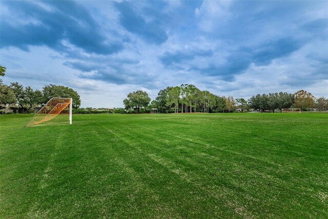 9481 Highland Oak Dr Unit 1616, Tampa, FL 33647 - view of yard featuring a sport area