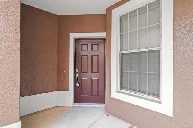 2009 River Turia Cir, Riverview, FL 33578 - property entrance with stucco siding