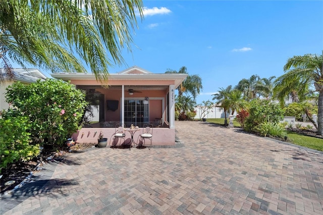 back of property featuring stucco siding, a sunroom, and a ceiling fan