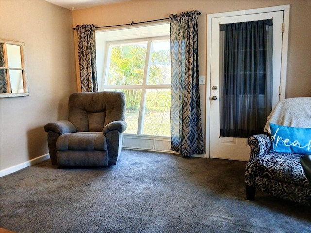 2132 40th Ave N, Saint Petersburg, FL 33714 - sitting room with carpet