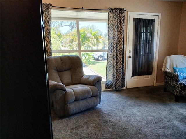 2132 40th Ave N, Saint Petersburg, FL 33714 - living area with carpet
