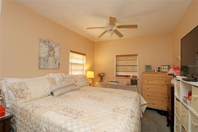 2132 40th Ave N, Saint Petersburg, FL 33714 - bedroom with carpet floors and ceiling fan