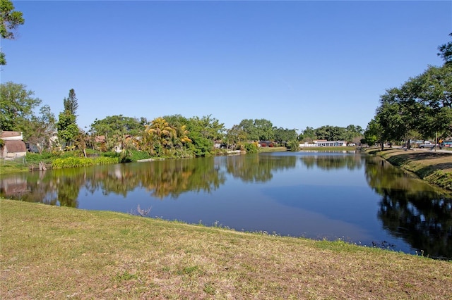 2132 40th Ave N, Saint Petersburg, FL 33714 - water view