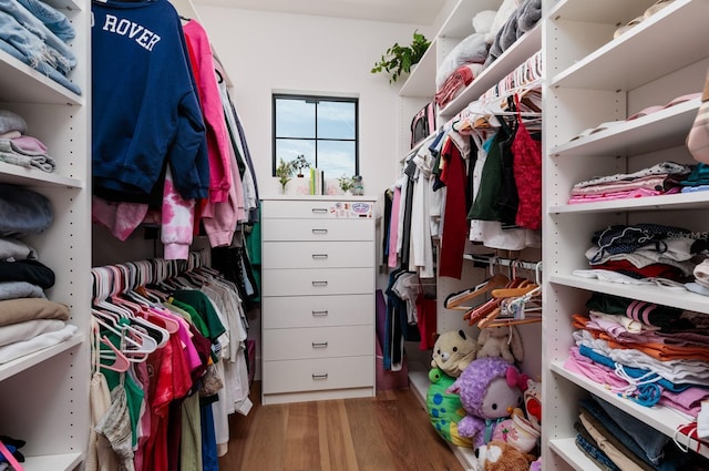 spacious closet featuring wood finished floors