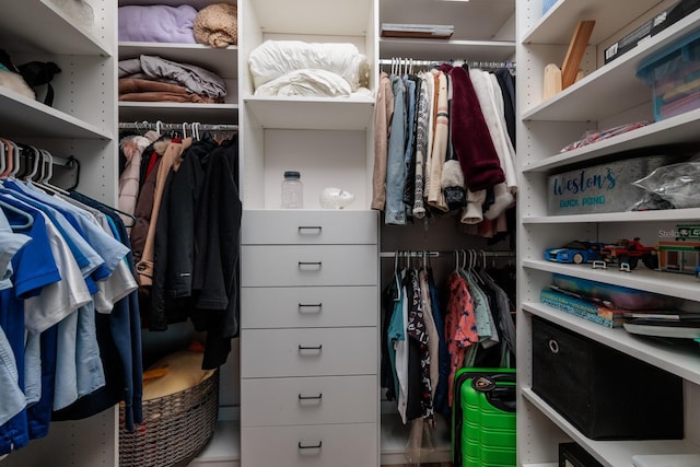 view of spacious closet