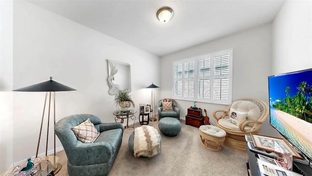 sitting room with carpet floors