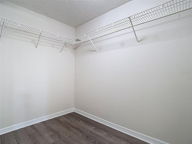 spacious closet with dark wood finished floors