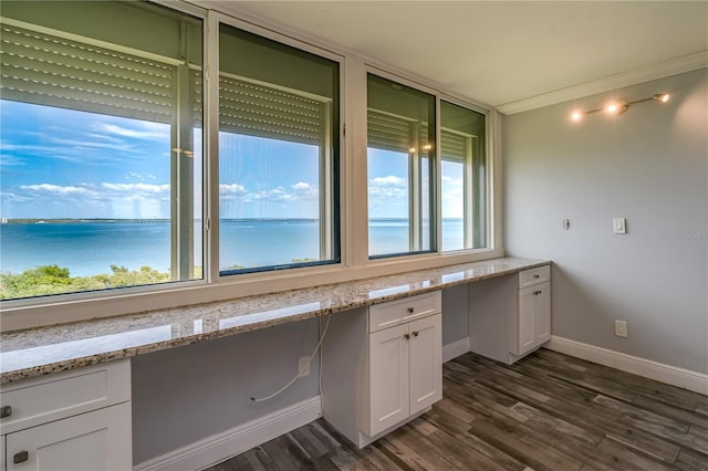 unfurnished office with dark wood-type flooring, crown molding, baseboards, and a water view