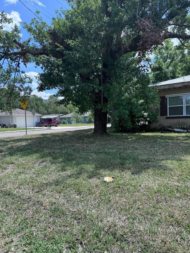 1211 NE 4th St, Mulberry, FL 33860 - view of green lawn