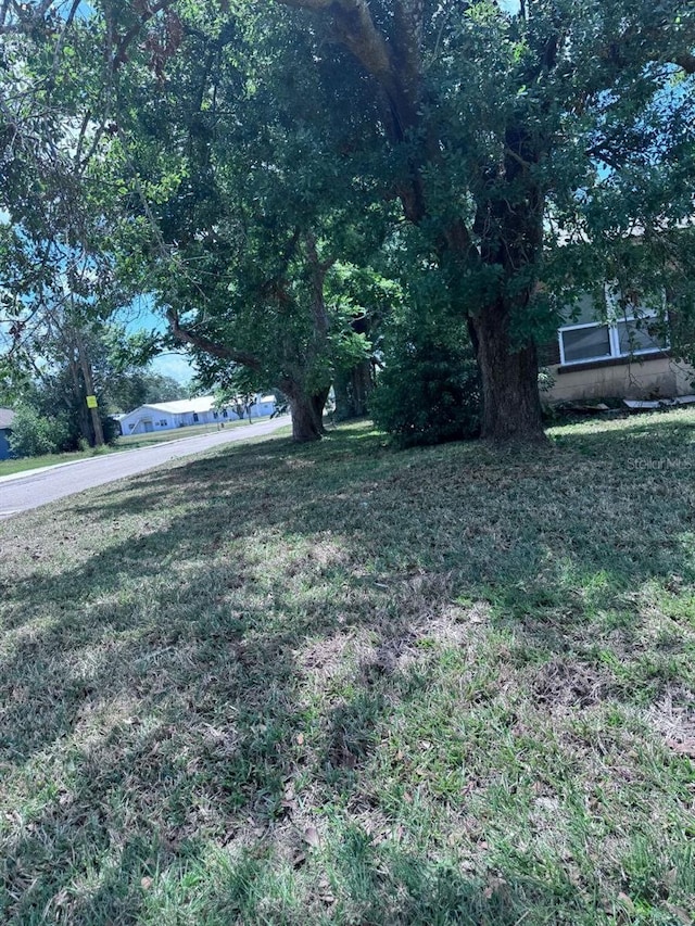 1211 NE 4th St, Mulberry, FL 33860 - view of green lawn