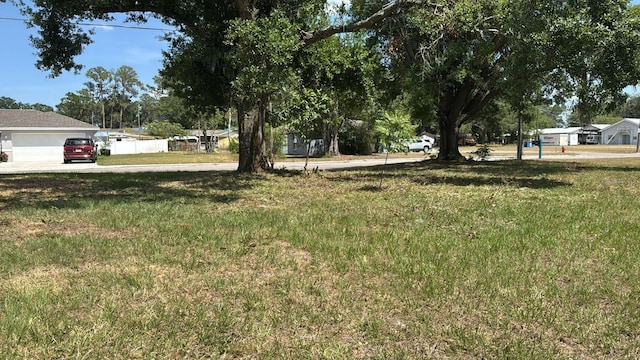 1211 NE 4th St, Mulberry, FL 33860 - view of yard