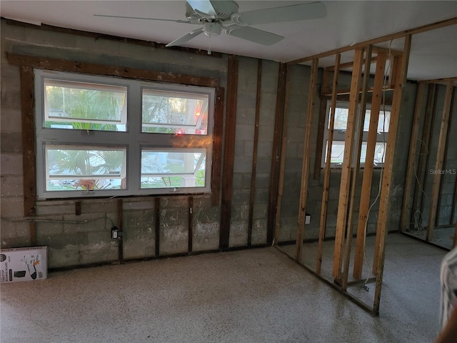 3919 Harrisburg St NE, Saint Petersburg, FL 33703 - misc room with a ceiling fan