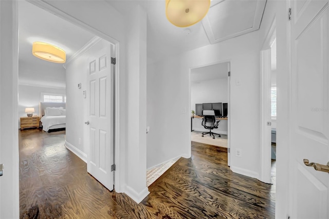 4106 W Cleveland St, Tampa, FL 33609 - photo 37