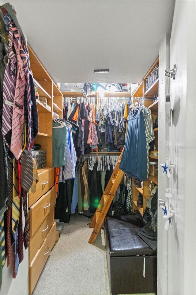 19440 NE 26th Ave Unit 53B, Miami, FL 33180 - spacious closet with carpet