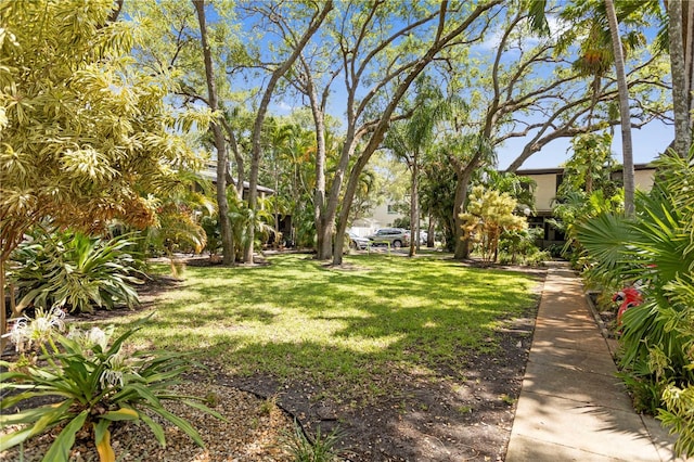19440 NE 26th Ave Unit 53B, Miami, FL 33180 - view of green lawn